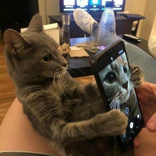 Worldcoin Withdrawals Procedure