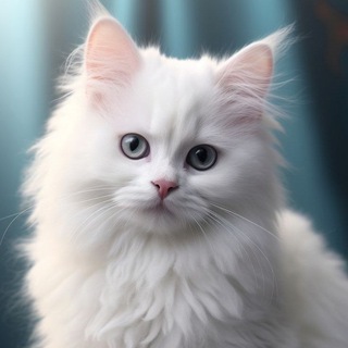 Airdrop Alert Discussion Group