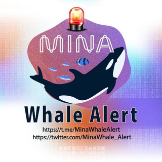 Mina Whale Alert