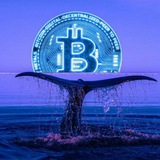 Investing Bulls signals