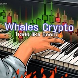 Whales Forex n Crypto Coach®️