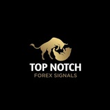 Top Notch Signals (FREE)