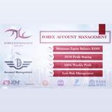 Forex Account Management
