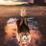 Thanh Tùng _AFX_(VIP)signals