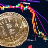 Binance Free Signal & Chat