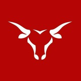 Bull Horn Forex (free signals)