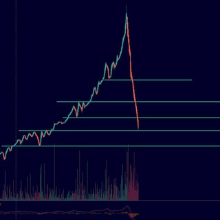 Coach Premium Signal