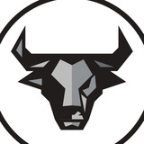 Black Bull Capital®