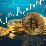 FOREX TRADERS SIGNAL