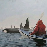 Bitcoin Signals Free