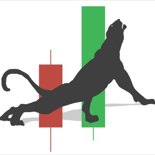 TRY PARDUS GOLD/FOREX