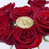 Rose Premium Signals - Trial Channel