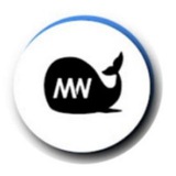 MegaWhale Crypto