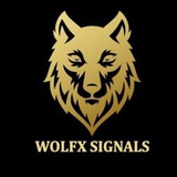 Wolfx signals official