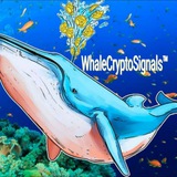 Whale|Crypto|Signals™