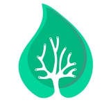 TraderStat - Top Traders & Analytic Statistics