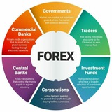 Forex Market Management