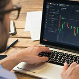 Forex Signals Academy