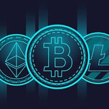 Master of Crypto Profit with 100 %