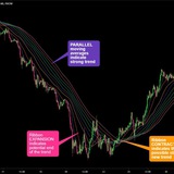 Forex trading signal free!