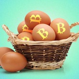 Crypto Basket News