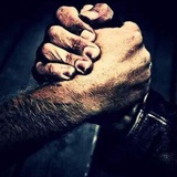 Crypto Mania Binance Signals