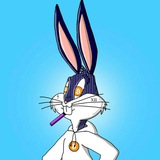 CRYPTO BUNNY