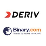 Binary Investment Services®