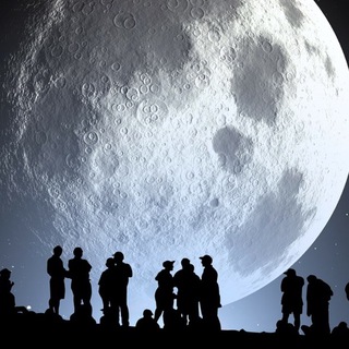 The Social Crypto Community