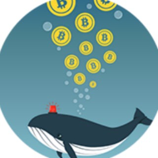 [Coin119.com] Cryptocurrency Whale Alert Signal
