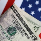 Forex & Commodities Signals