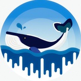 Crypto Whales Signals