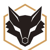 Foxes  Signals Copytrading Free