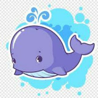 Not Whales Signals Discussion