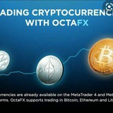OCTAFX TRADING AND BITCOIN INVESTMENT