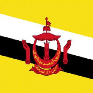 Bitcoin Brunei
