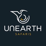 UNEARTH BIRDING SAFARIS