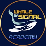 Whale Signal  (Academy)