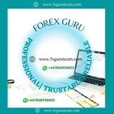 FOREX GURU