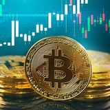 GOLDBRICK INVESTMENT