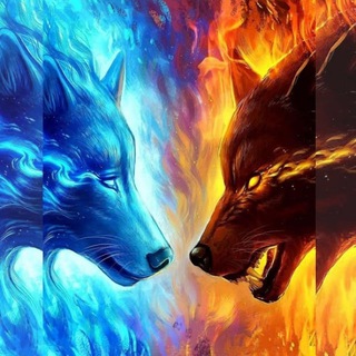 Signal XAUUSD (GOLD) Kênh Đào