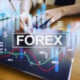 GLOBAL FOREX TRADERS™