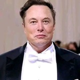 ELON MUSK TESLA INVESTMENT PLATFORM