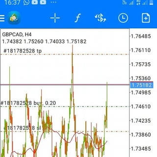 Swing forex signals (free) ♨️