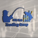 BiG Fish Gold Signal