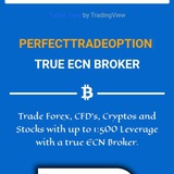 Perfect Trade Option