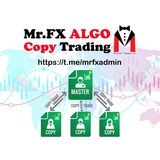 Mr.FX Algo Copy Trading