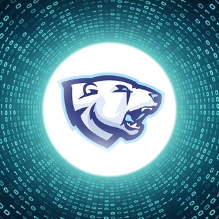 Bears Trading - trading ideas