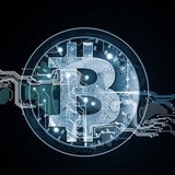 Crypto Signals Whale