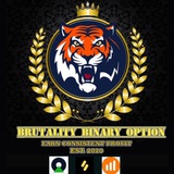 REKAP AKURASI SIGNAL BRUTALITY